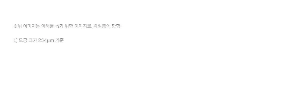 [포켓몬 에디션] 닥터포헤어 모발 볼륨강화 두피토닉 120ml+120ml 더블기획 탈모토닉 상세페이지 25